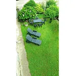 Al كانوبيو